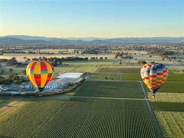 Balloons in the King Valley over Milawa