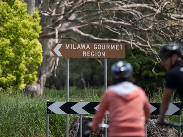Bike rider in front of sign at milawa