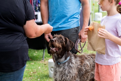 A dog on a leash held by a person in a blue shirt, while another person in black reaches toward it. A child in a white shirt and orange shorts holds a brown paper bag. The scene is outdoors on grass, with stalls or objects in the background.
