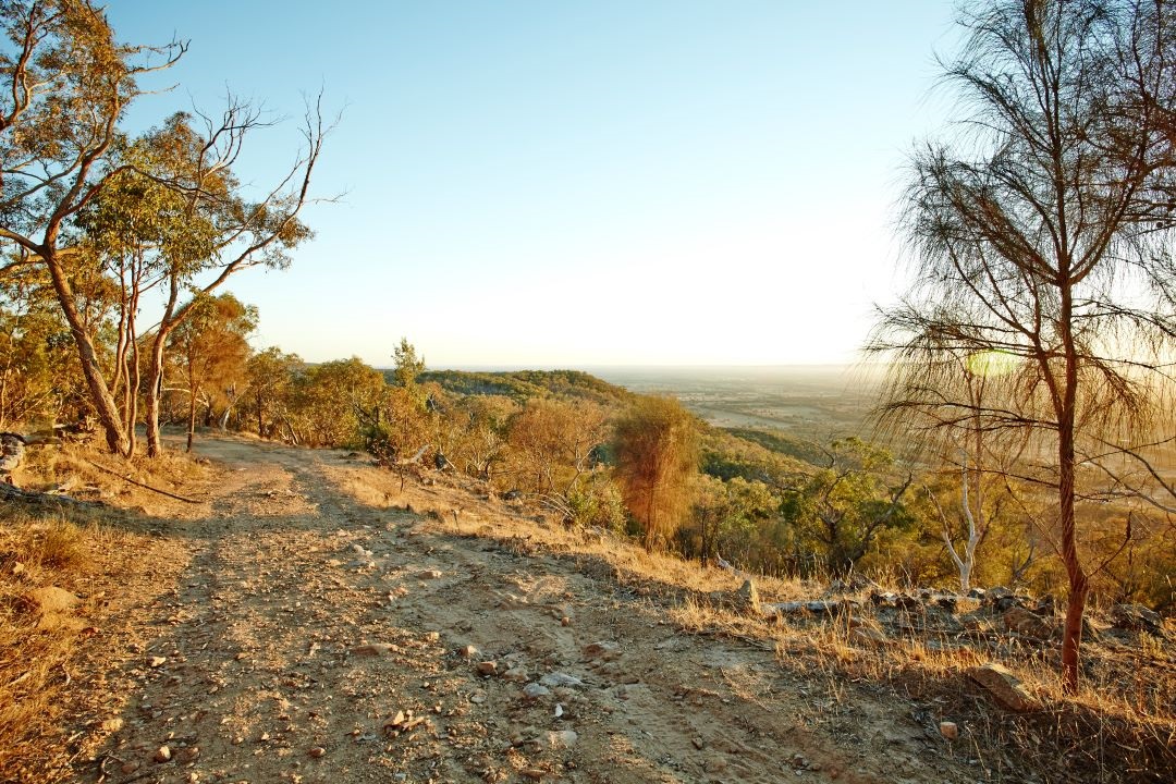 Scenic view from Mt. Glenrowan with a dirt path winding through dry, rocky terrain, sparse trees, and a clear blue sky stretching to the horizon.