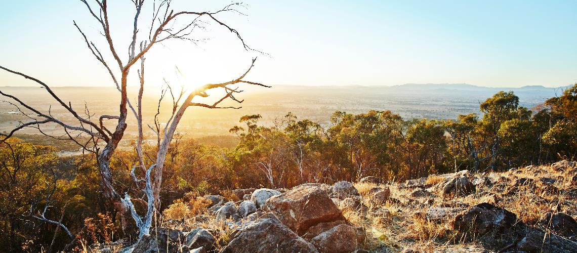 Mt Glenrowan Sunrise