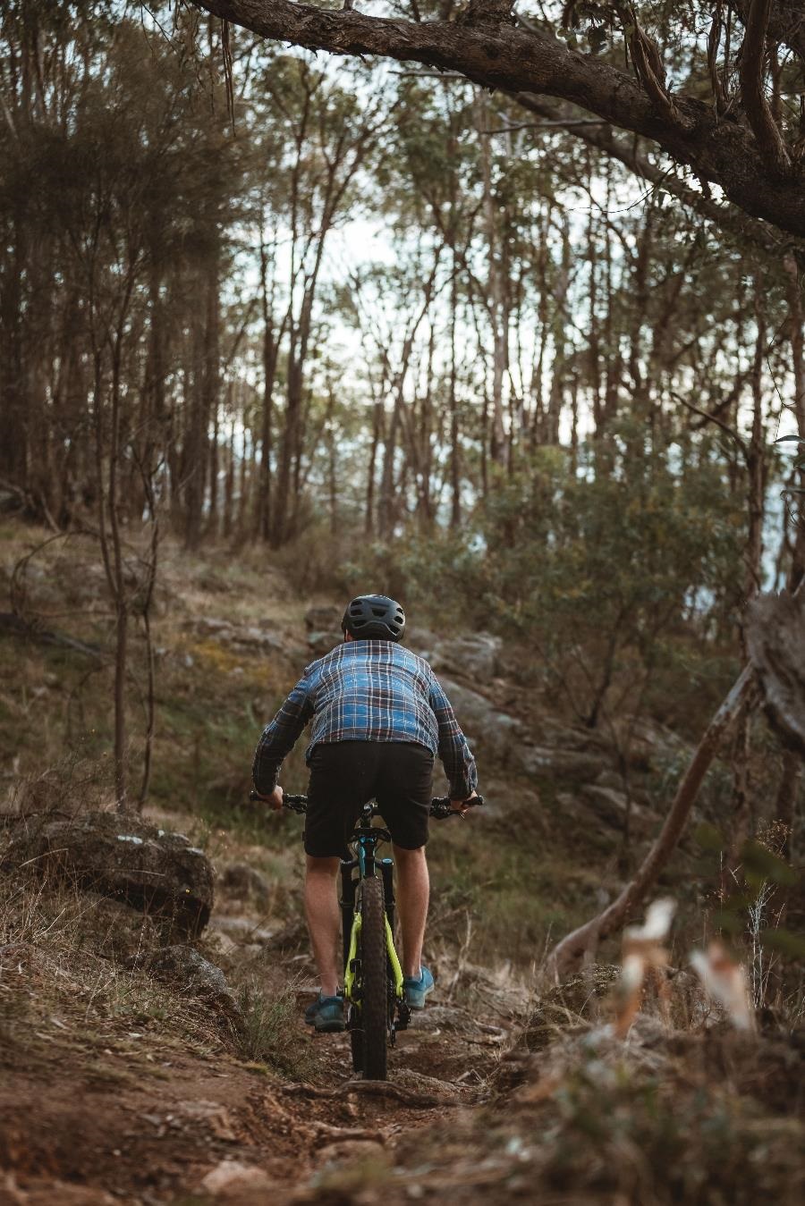 Warbys Singletrack