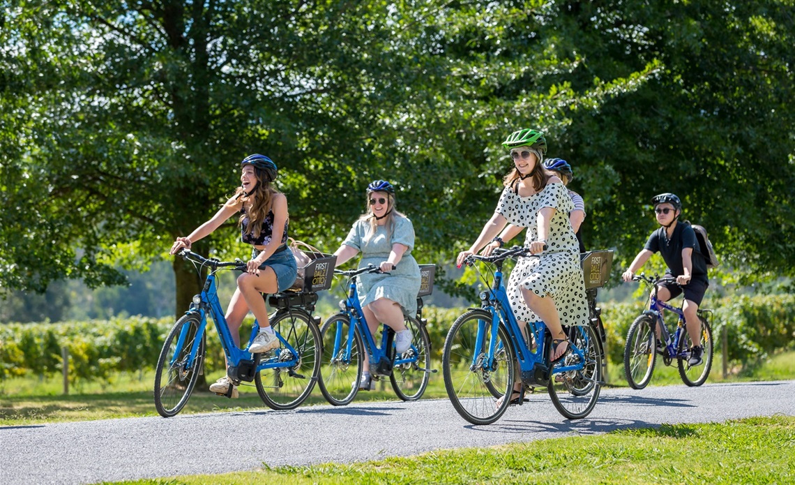 Dal Zottos Ebike