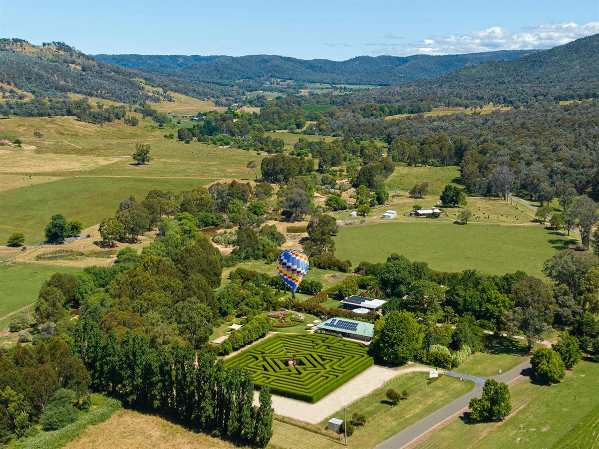 Brookfield Maze Visit Wangaratta