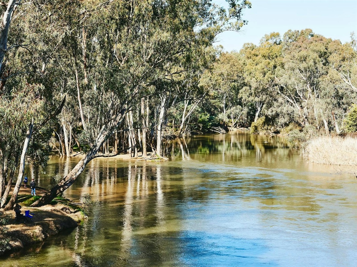 Camping Ovens River WarbyOvens National Park Visit Wangaratta