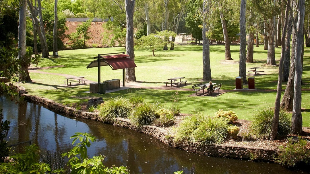 Wangaratta's Significant Trees Walks Visit Wangaratta